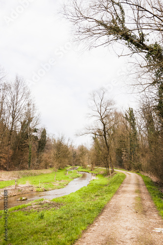 Möhlin, Möhlinbach, Bachtele, Naturschutzgebiet, Vogelschutz, Rhein, Rheinufer, Hochrhein, Uferweg, Rheinuferweg, Rheinfelden, Wanderweg, Wald, Waldweg, Aargau, Fricktal, Frühling, Schweiz