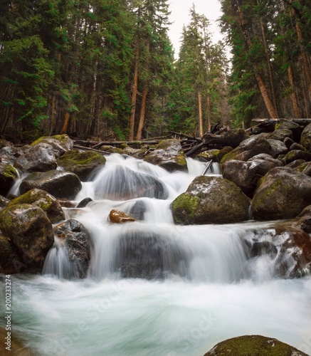 waterfalls and rapids of the mountain river, streams of pure river water flow through the rocks surrounded by mountainous coniferous forests in early spring