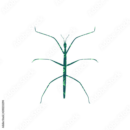 Stick insect spiral pattern color silhouette animal