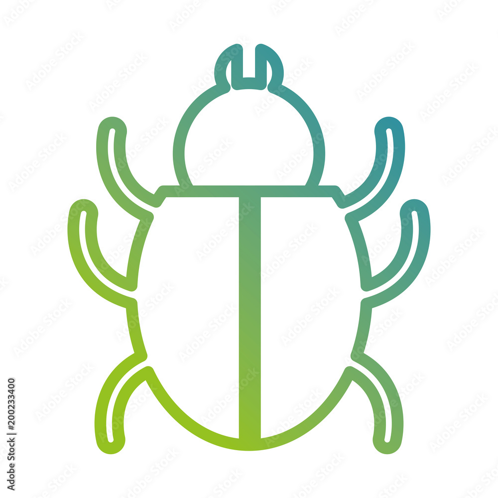 bug insect isolated icon vector illustration design