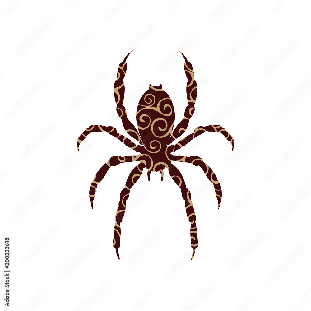 Spider insect spiral pattern color silhouette animal. Spider insect spiral pattern color silhouette animal.