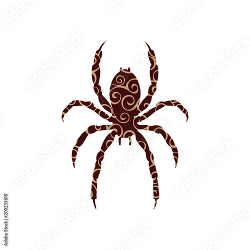 Spider insect spiral pattern color silhouette animal.