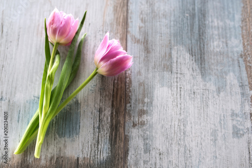 Fototapeta Naklejka Na Ścianę i Meble -  Tulips on gray vintage planks