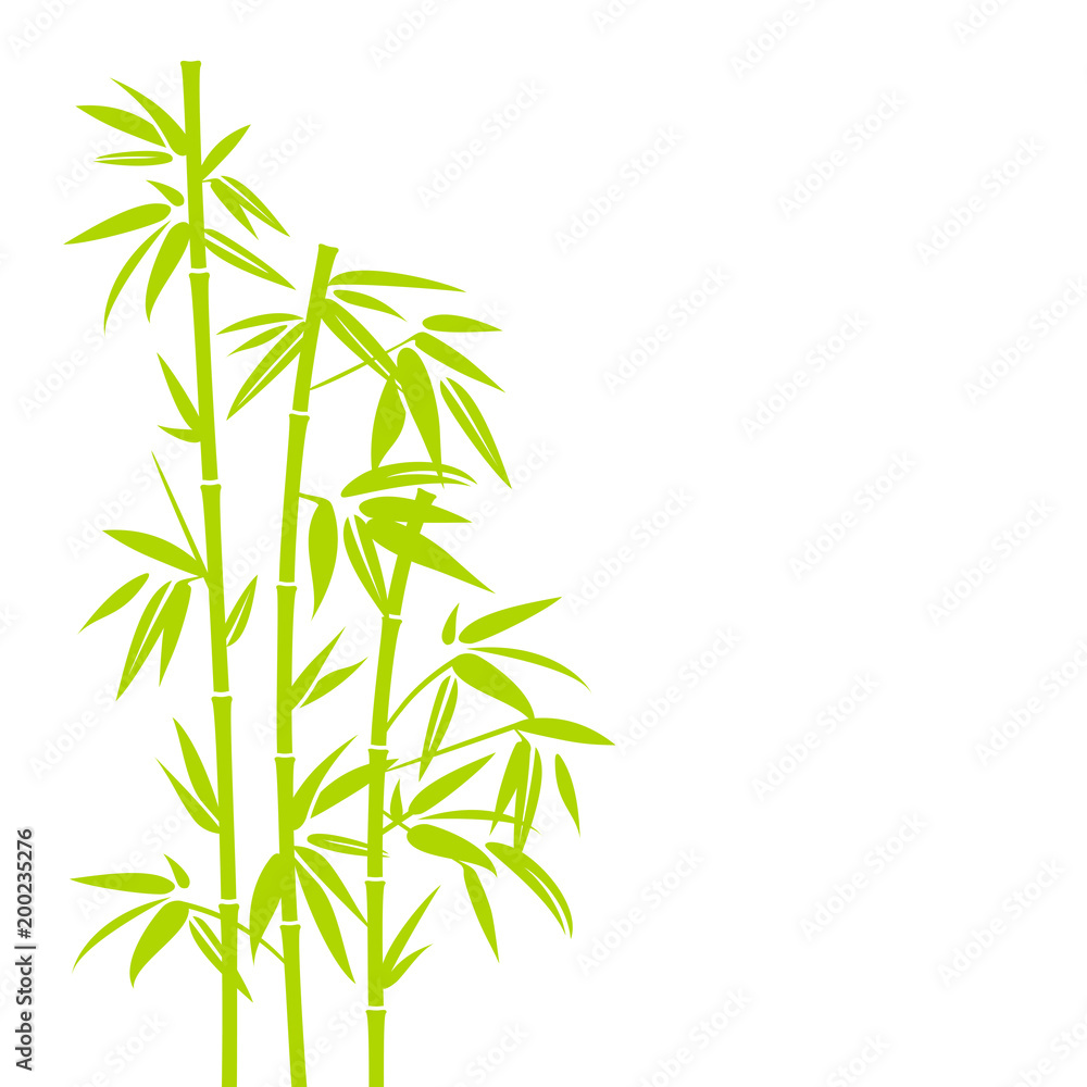 Light Green Bamboo