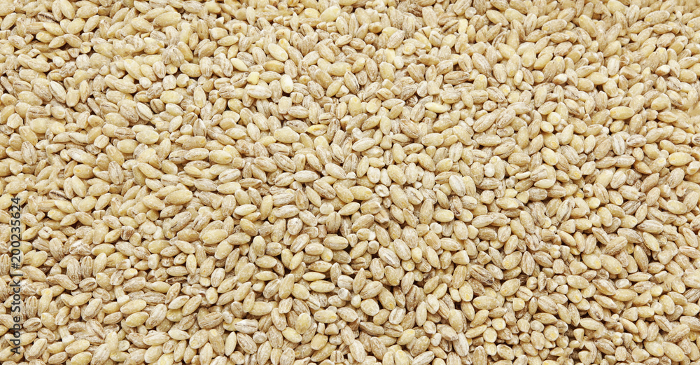 Dried pearled barley -texture and details - traditional food Dried pearled barley -texture and details - traditional food