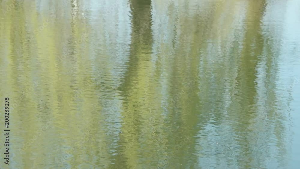 reflection of trees in a lake in a city park reflection of trees in a lake in a city park