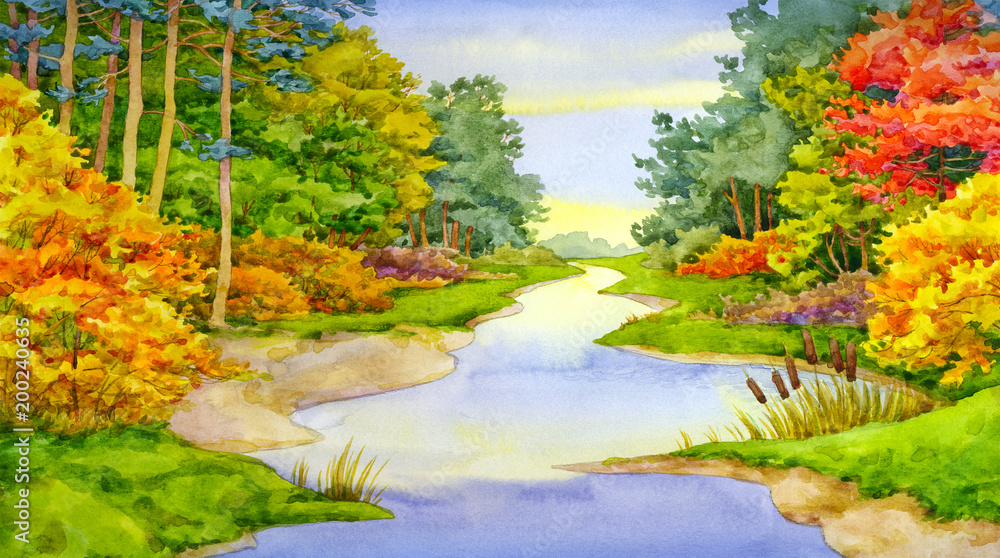 Fototapeta premium Autumn Forest Brook