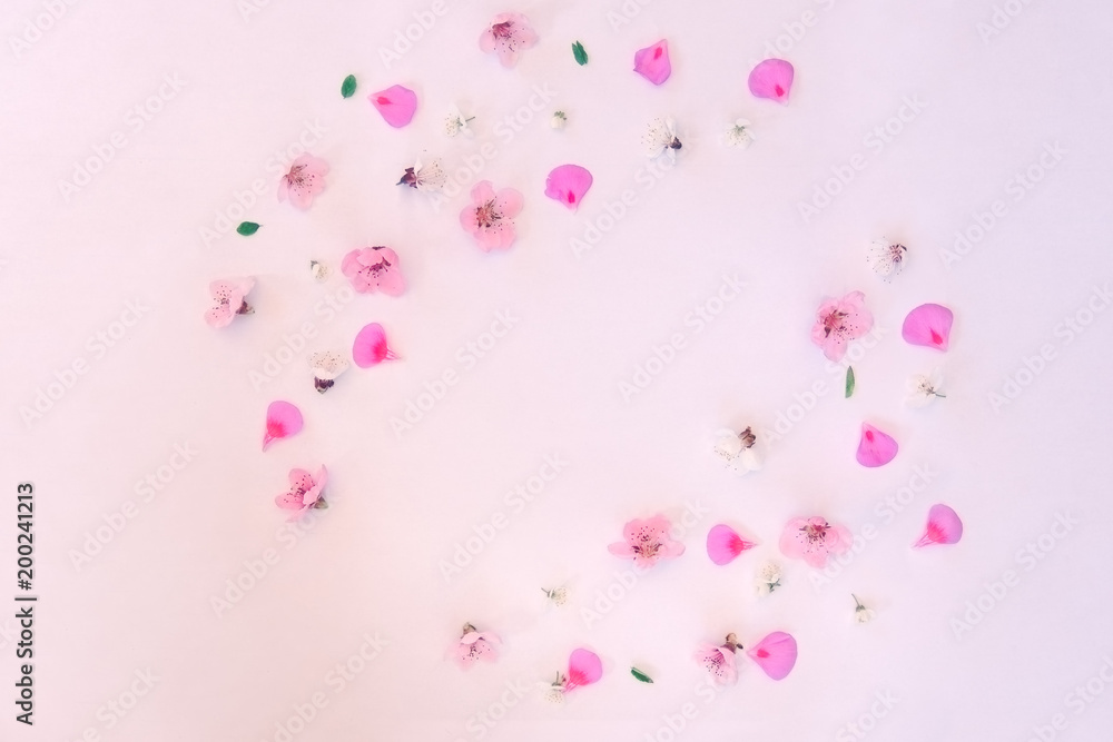 Floral design of apricot and nectarine flowers on white background