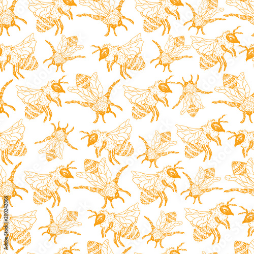 Honey Bee Seamless Pattern  Sketch Vector Illustration With Bumble Bee Hives In Vintage Style  Yellow Hand Drawn Honeycomb On White Background