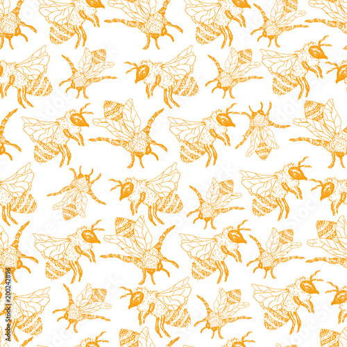 Honey Bee Seamless Pattern  Sketch Vector Illustration With Bumble Bee Hives In Vintage Style  Yellow Hand Drawn Honeycomb On White Background