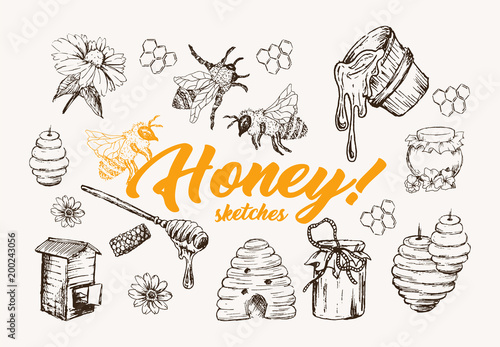 Honey Sketches Set, Bee Hive, Honey Jar, Barrel, Pot, Spoon And Flower Hand Drawn Superfood Organic Products, Vector Illustration. Black Outline Engraving Elements.Vintage Isolated Vector Illustration