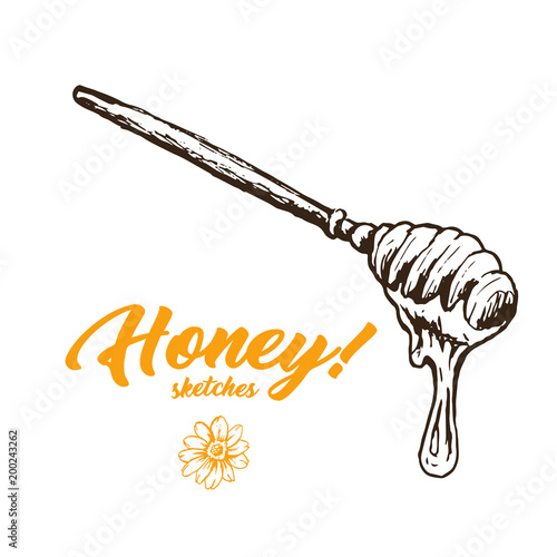 Honey Sketch Spoon, Honey Hand Drawn Superfood Organic Products Design, Vector Illustration. Black Outline Engraving Elements.Vintage Isolated Vector Illustration