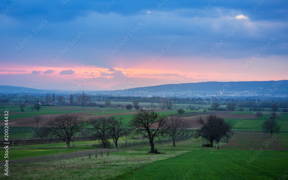 Landschaft im Burgenland bei Eisenstadt am Abend
