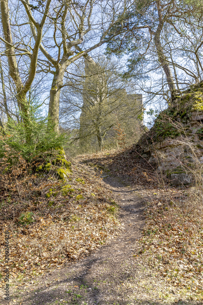 Altenbaumburg Castle is the ruin of a spur castle on a ridge above Altenbamberg in Alsenz Valley in Rhineland-Palatinate, Germany Altenbaumburg Castle is the ruin of a spur castle on a ridge above Altenbamberg in Alsenz Valley in Rhineland-Palatinate, Germany