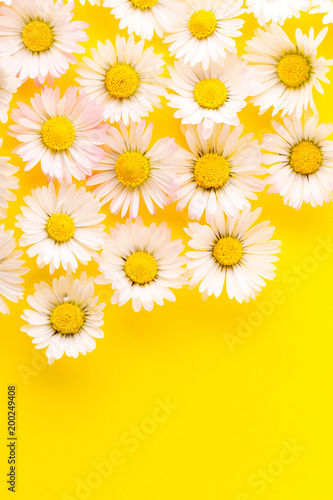 Fototapeta Naklejka Na Ścianę i Meble -  margheritine su fondo giallo