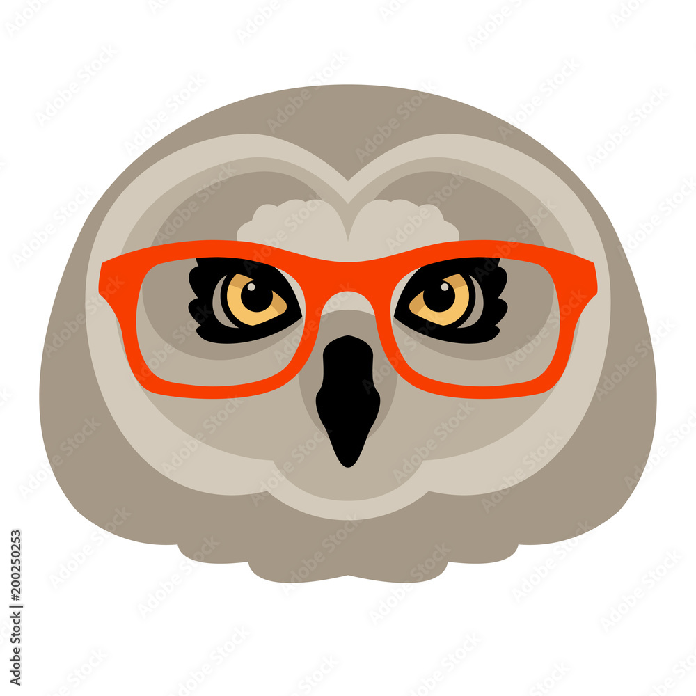 owl in glasses face vector illustration flat owl in glasses face vector illustration flat