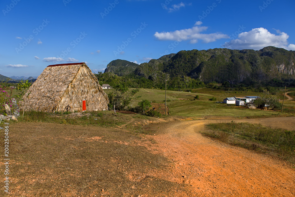 Drying shack and tobacco field in Vinales, Cuba.