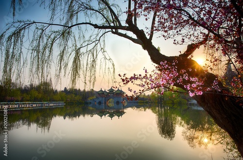 spring of slender west lake in Yangzhou China