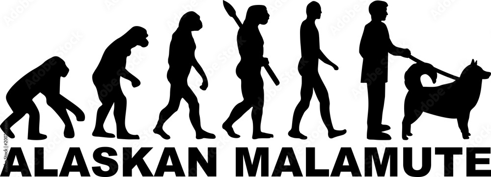 Alaskan malamute evolution word Alaskan malamute evolution word