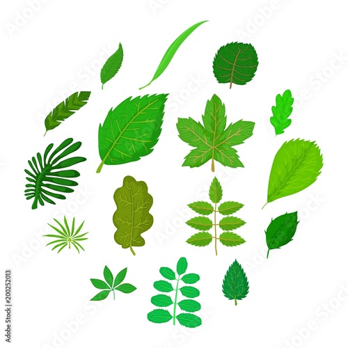 Green leafs icons set, cartoon style