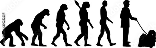 Puli evolution darwin