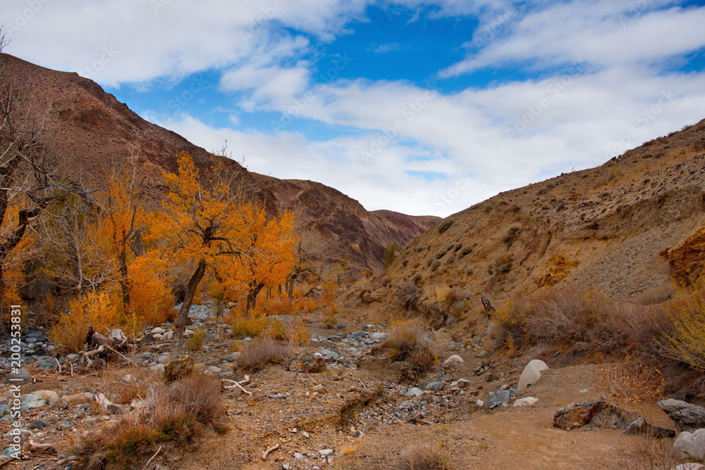 Russia. The South Of Western Siberia. Autumn in the Altai Mountains near the natural Park Russia. The South Of Western Siberia. Autumn in the Altai Mountains near the natural Park
