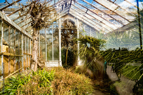 old derelict victorian greenhouse in ruins