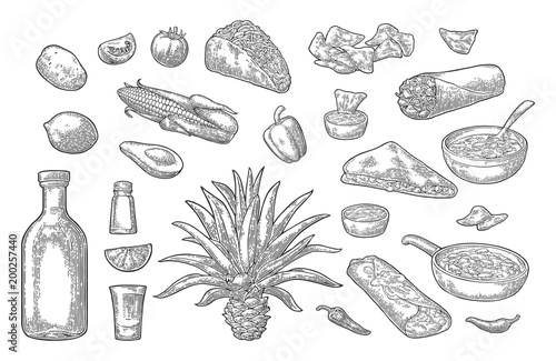 Mexican traditional food and drink set. Tequila, Guacamole, Burrito, Tacos