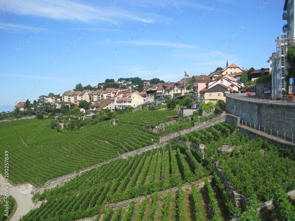 Beautiful scenery of Switzerland - Lavaux -