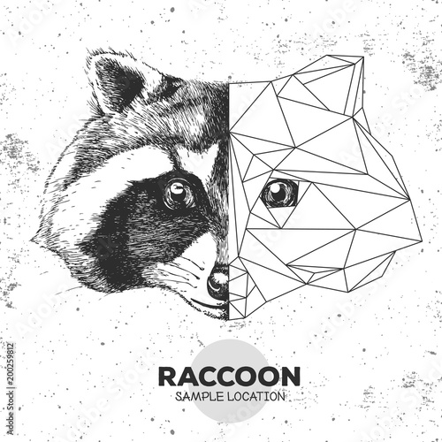 Hipster animal realistic and polygonal raccoon face