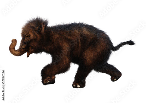 3D Rendering Woolly Mammoth Baby on White