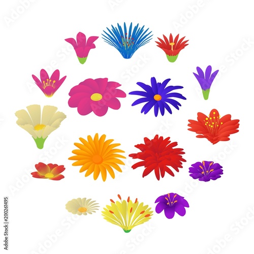 Detailed flowers icons set, cartoon style