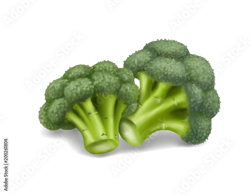 Broccoli Vector Illustration. 3d realistic icon isolated on white background