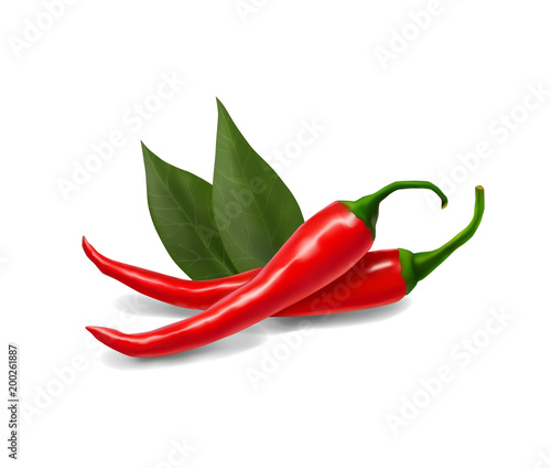 Red hot natural chili pepper realistic vector illustration. Design for grocery, culinary products, seasoning and spice package, recipe web site decoration, cooking book or game icon