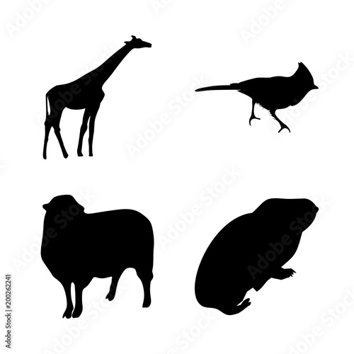 icon Animal with cartoon  mouse  art  pictogram and bird
