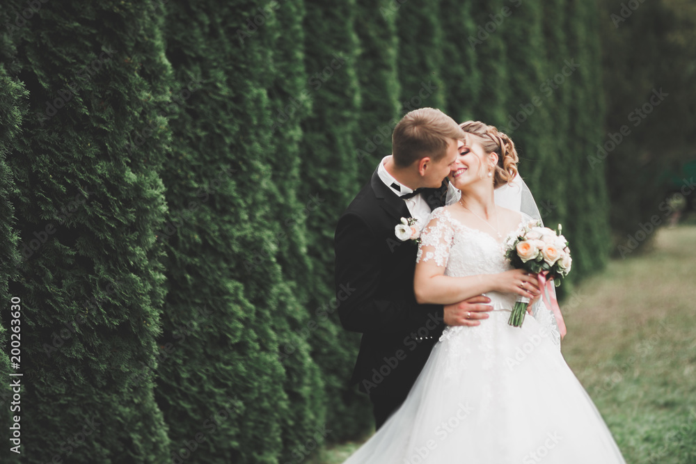 Beautiful young wedding couple is kissing and smiling in the park