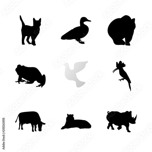 icon Animal with dove, duck, element, pattern and bear