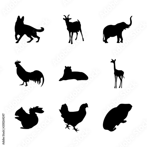 icon Animal with pattern  decoration  cockerel  squirrel and desing