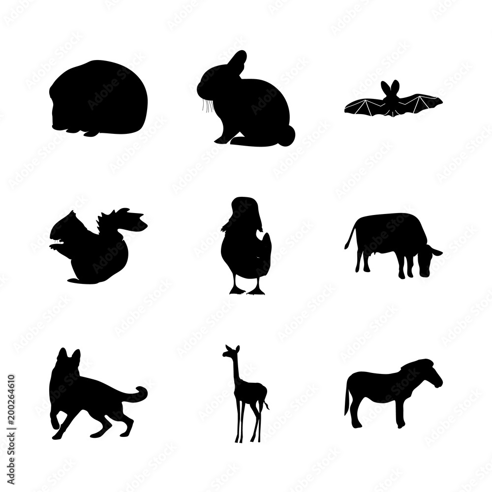 Fototapeta premium icon Animal with start, horror, zebra, toy and background
