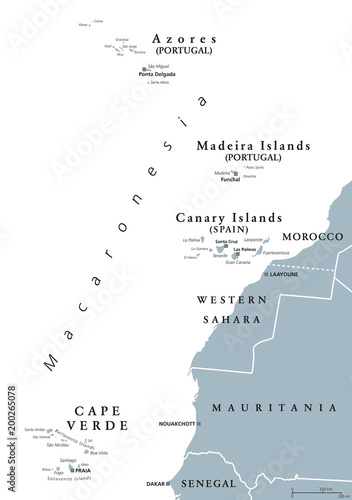 Macaronesia political map. Azores, Cape Verde, Madeira, Canary Islands. Collection of archipelagos in the Atlantic Ocean off the coast of Africa. English labeling. Gray illustration over white. Vector