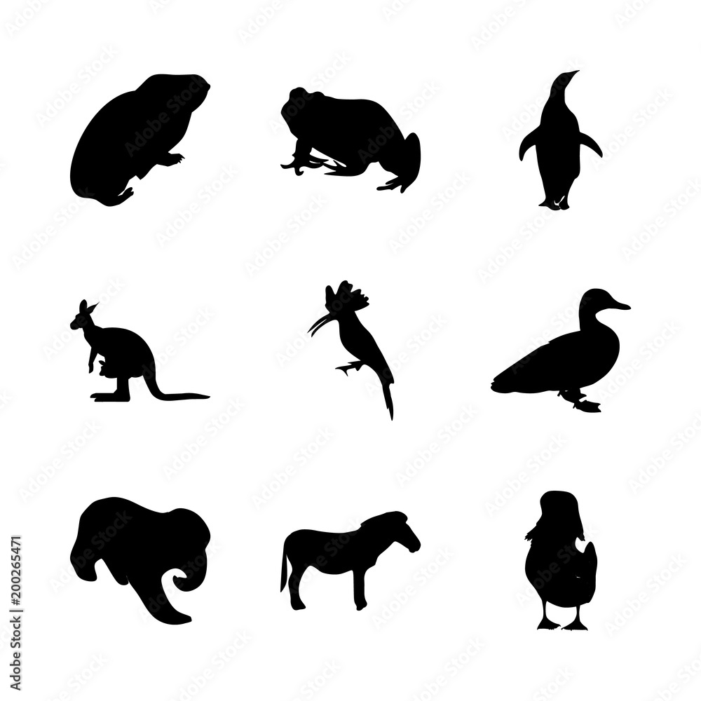 Obraz premium icon Animal with zoo, logo, isolated, trunk and ice
