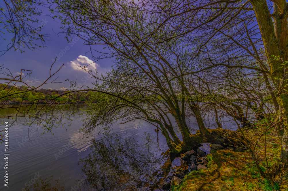 Obraz premium Frühling am Main