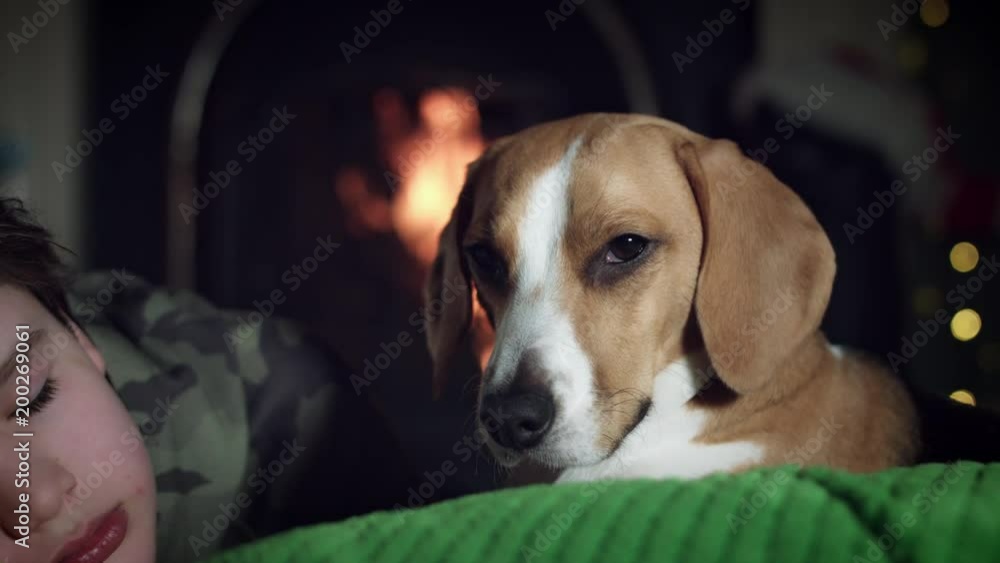 4k Dog Beagle with Child Sleeping at Fireplace 4k Dog Beagle with Child Sleeping at Fireplace