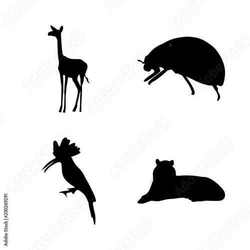 icon Animal with jump  tiger  pattern  bright and aves