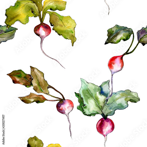 Red radish vegetables  in a watercolor style pattern. Full name of the vegetablles: 
radish. Aquarelle vegetables for background, texture, wrapper pattern or menu. photo