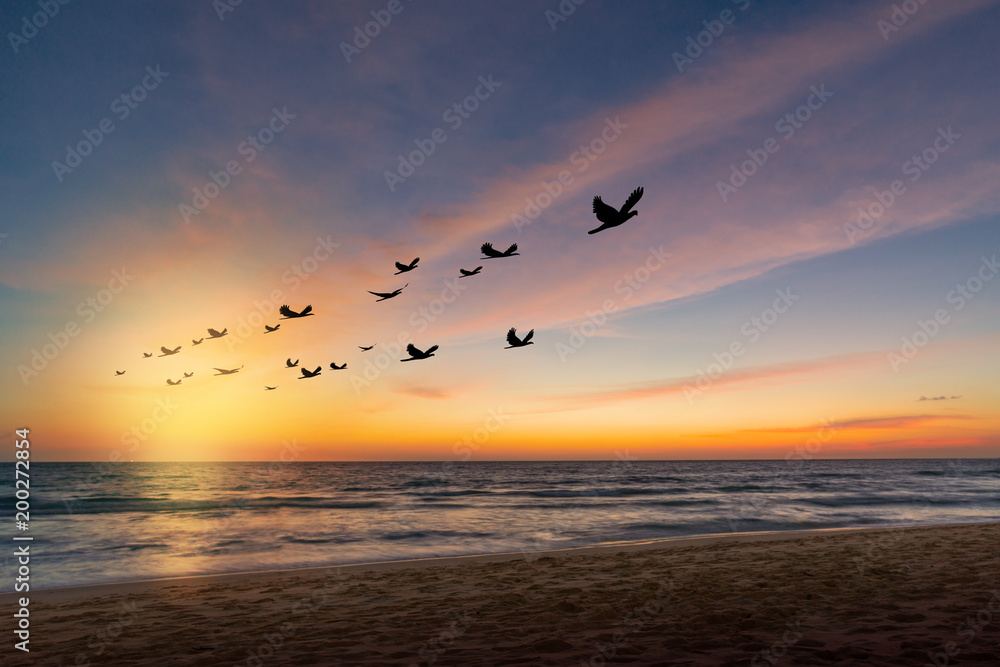 The freedom of birds,freedom concept.Silhouette flock of birds in v shaped flying over the sea at sunset.