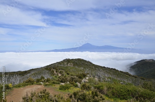 Blick zum Taide vom Gipfel des Garajonay, Gomera