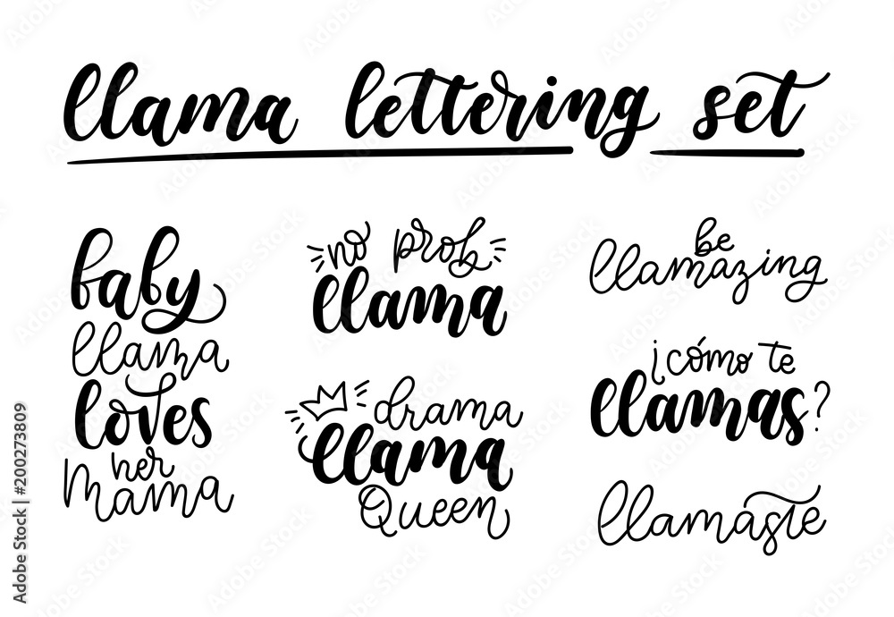 Llama lettering set. Set of hand drawn quotes about llama isolated on white background. Baby llama loves her mama. Be llamazing.Drama llama Queen. Llamaste. No probllama. Vector illustration. Llama lettering set. Set of hand drawn quotes about llama isolated on white background. Baby llama loves her mama. Be llamazing.Drama llama Queen. Llamaste. No probllama. Vector illustration.