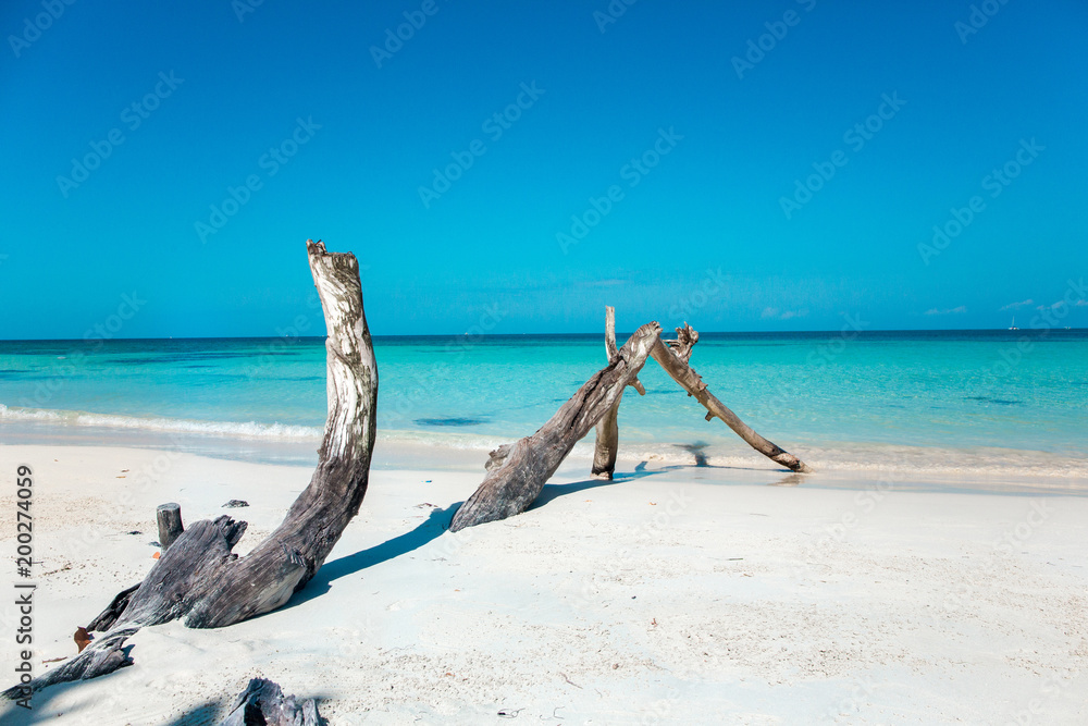 Karibisches Meer und der weiße Sandstrand auf Jamaika
Karibisches Meer und der weiße Sandstrand auf Jamaika