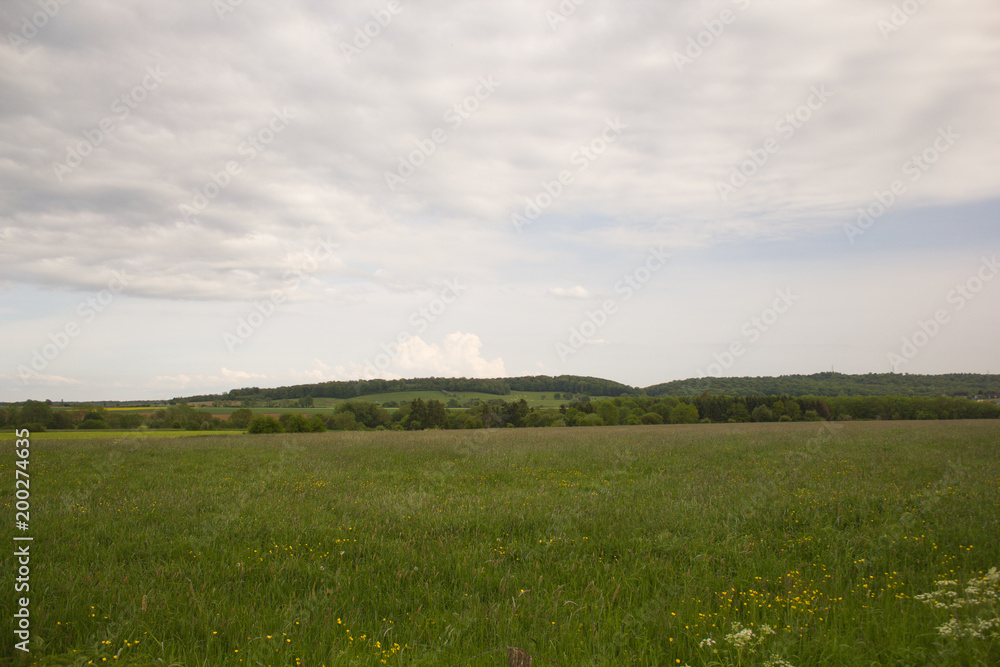 Landscape of a large green field